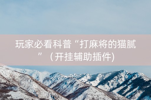 玩家必看科普“打麻将的猫腻”（开挂辅助插件)