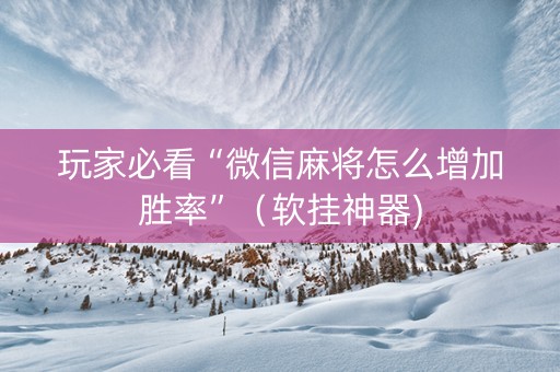 玩家必看“微信麻将怎么增加胜率”（软挂神器)