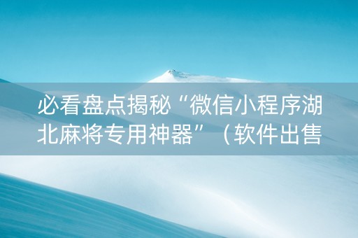 必看盘点揭秘“微信小程序湖北麻将专用神器”（软件出售)