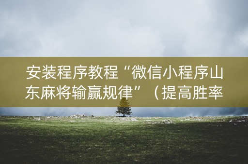 安装程序教程“微信小程序山东麻将输赢规律”（提高胜率技巧)
