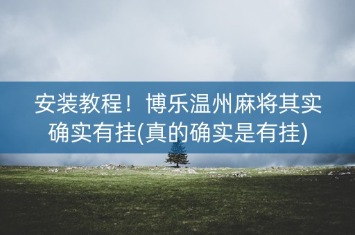 安装教程！博乐温州麻将其实确实有挂(真的确实是有挂)