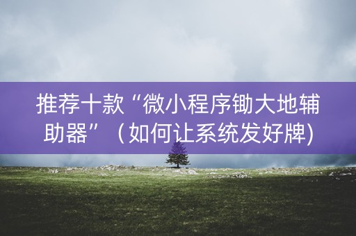 推荐十款“微小程序锄大地辅助器”（如何让系统发好牌)
