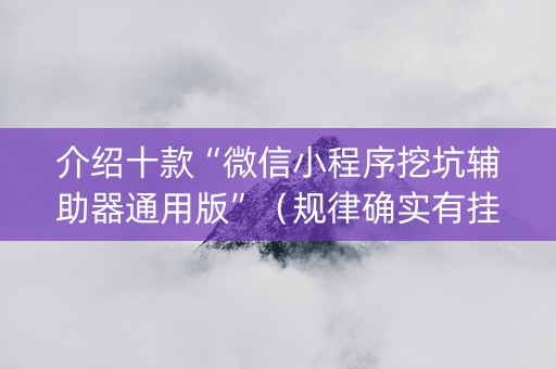 介绍十款“微信小程序挖坑辅助器通用版”（规律确实有挂)