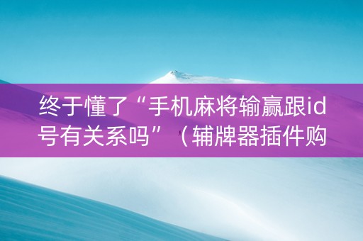 终于懂了“手机麻将输赢跟id号有关系吗”（辅牌器插件购买)