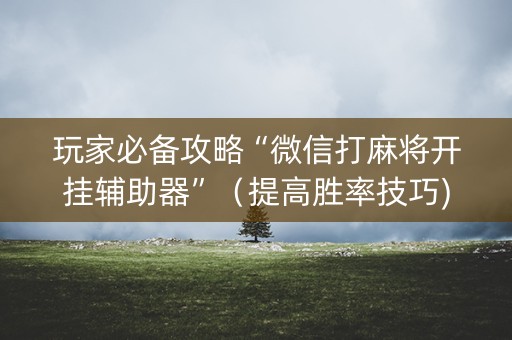 玩家必备攻略“微信打麻将开挂辅助器”（提高胜率技巧)