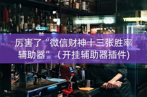 厉害了“微信财神十三张胜率辅助器”（开挂辅助器插件)