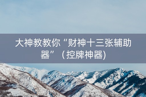 大神教教你“财神十三张辅助器”（控牌神器)