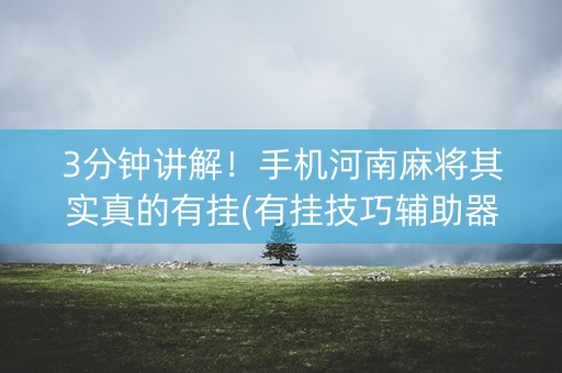 3分钟讲解！手机河南麻将其实真的有挂(有挂技巧辅助器)