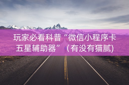 玩家必看科普“微信小程序卡五星辅助器”（有没有猫腻)