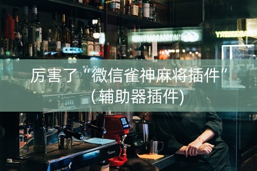 厉害了“微信雀神麻将插件”（辅助器插件)