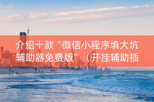 介绍十款“微信小程序填大坑辅助器免费版”（开挂辅助插件)
