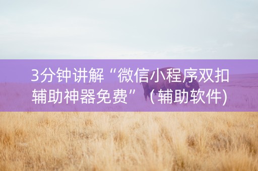 3分钟讲解“微信小程序双扣辅助神器免费”（辅助软件)