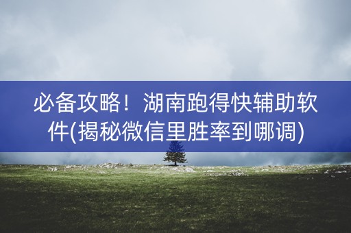 必备攻略！湖南跑得快辅助软件(揭秘微信里胜率到哪调)