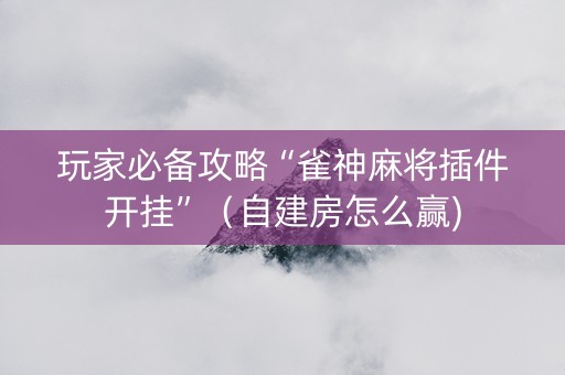 玩家必备攻略“雀神麻将插件开挂”（自建房怎么赢)