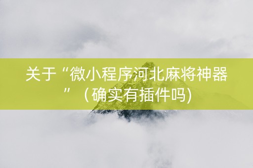 关于“微小程序河北麻将神器”（确实有插件吗)