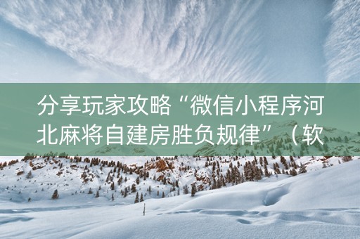 分享玩家攻略“微信小程序河北麻将自建房胜负规律”（软挂神器)