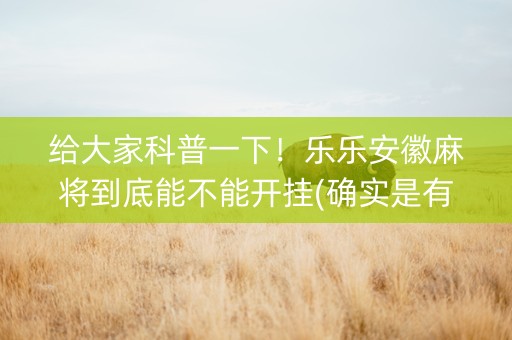 给大家科普一下！乐乐安徽麻将到底能不能开挂(确实是有挂的)