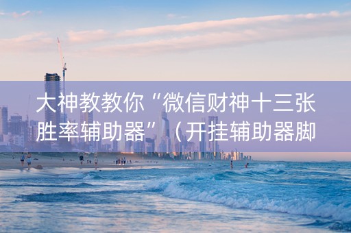 大神教教你“微信财神十三张胜率辅助器”（开挂辅助器脚本)