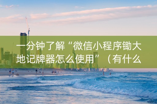 一分钟了解“微信小程序锄大地记牌器怎么使用”（有什么诀窍)