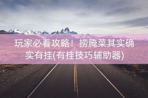 玩家必看攻略！捞腌菜其实确实有挂(有挂技巧辅助器)