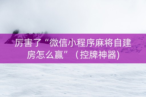 厉害了“微信小程序麻将自建房怎么赢”（控牌神器)