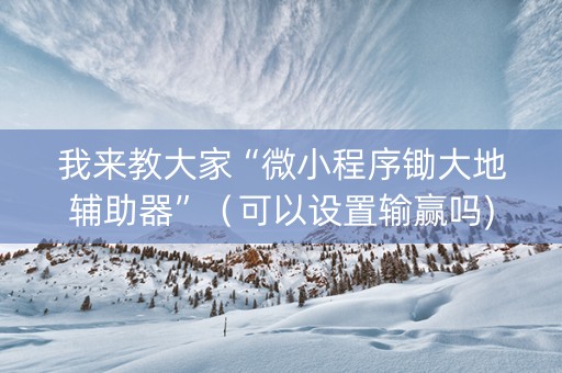 我来教大家“微小程序锄大地辅助器”（可以设置输赢吗)