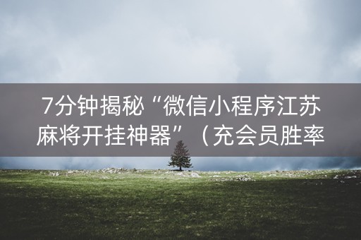 7分钟揭秘“微信小程序江苏麻将开挂神器”（充会员胜率高)
