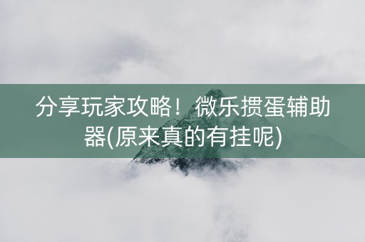 分享玩家攻略！微乐掼蛋辅助器(原来真的有挂呢)