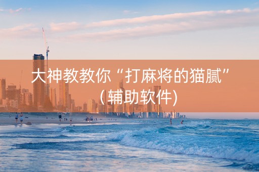 大神教教你“打麻将的猫腻”（辅助软件)