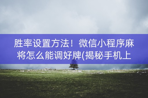 胜率设置方法！微信小程序麻将怎么能调好牌(揭秘手机上输赢规律)