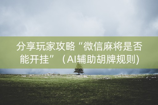 分享玩家攻略“微信麻将是否能开挂”（AI辅助胡牌规则)