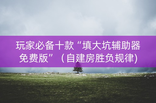 玩家必备十款“填大坑辅助器免费版”（自建房胜负规律)