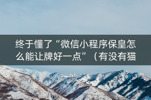 终于懂了“微信小程序保皇怎么能让牌好一点”（有没有猫腻)