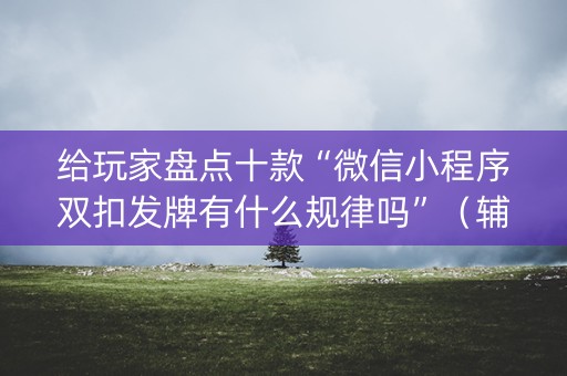 给玩家盘点十款“微信小程序双扣发牌有什么规律吗”（辅牌器插件购买)