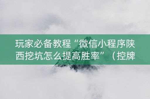 玩家必备教程“微信小程序陕西挖坑怎么提高胜率”（控牌器)
