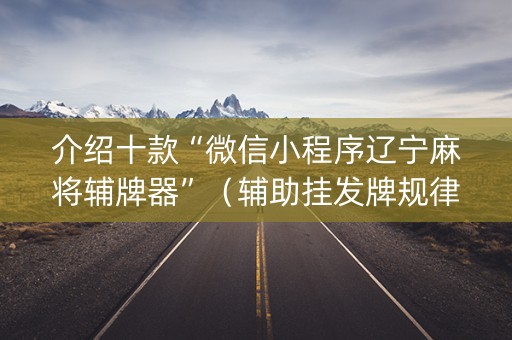 介绍十款“微信小程序辽宁麻将辅牌器”（辅助挂发牌规律)