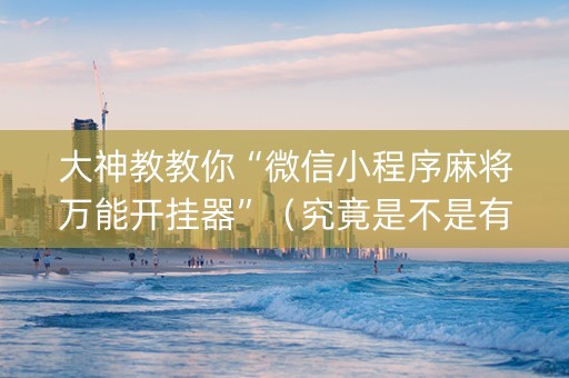 大神教教你“微信小程序麻将万能开挂器”（究竟是不是有挂)