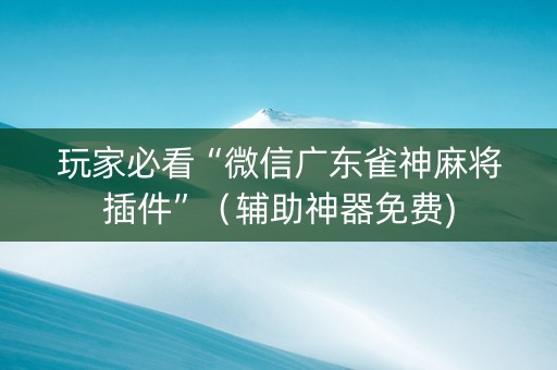 玩家必看“微信广东雀神麻将插件”（辅助神器免费)