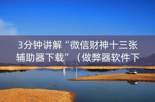 3分钟讲解“微信财神十三张辅助器下载”（做弊器软件下载)
