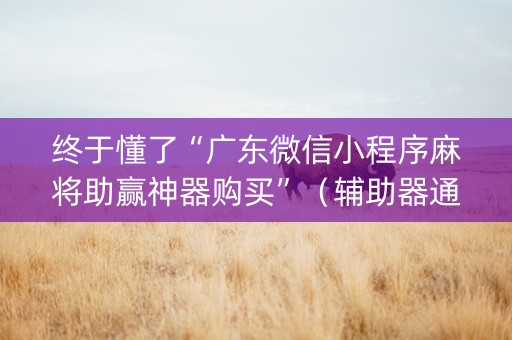 终于懂了“广东微信小程序麻将助赢神器购买”（辅助器通用版)