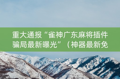 重大通报“雀神广东麻将插件骗局最新曝光”（神器最新免费)