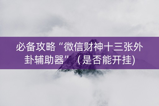 必备攻略“微信财神十三张外卦辅助器”（是否能开挂)
