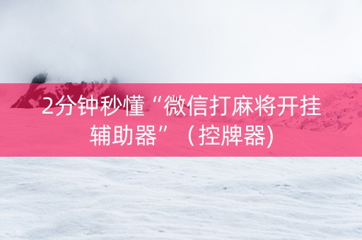 2分钟秒懂“微信打麻将开挂辅助器”（控牌器)
