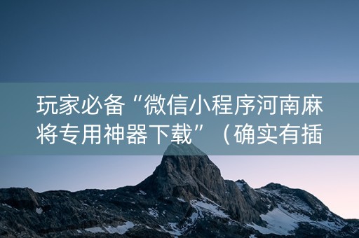玩家必备“微信小程序河南麻将专用神器下载”（确实有插件吗)