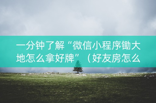 一分钟了解“微信小程序锄大地怎么拿好牌”（好友房怎么才能赢)