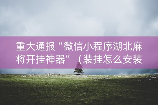 重大通报“微信小程序湖北麻将开挂神器”（装挂怎么安装)