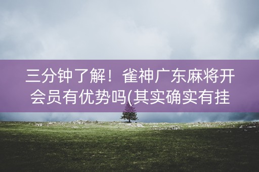 三分钟了解！雀神广东麻将开会员有优势吗(其实确实有挂)