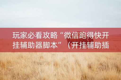 玩家必看攻略“微信跑得快开挂辅助器脚本”（开挂辅助插件)