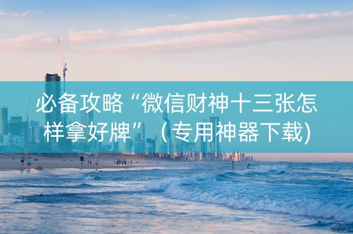 必备攻略“微信财神十三张怎样拿好牌”（专用神器下载)