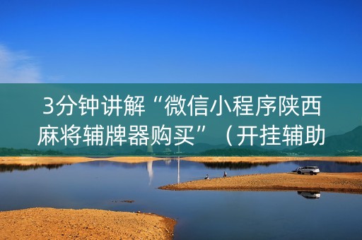3分钟讲解“微信小程序陕西麻将辅牌器购买”（开挂辅助脚本)